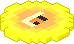 trumpcoin